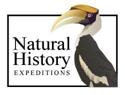 Natural History Expeditions logo design