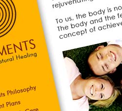 5 Elements proposed web design